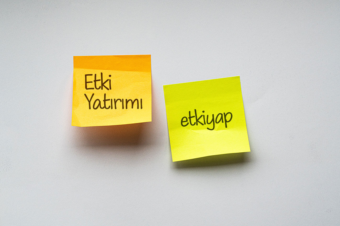 Etki Yatırımının 10 Altın Kuralı