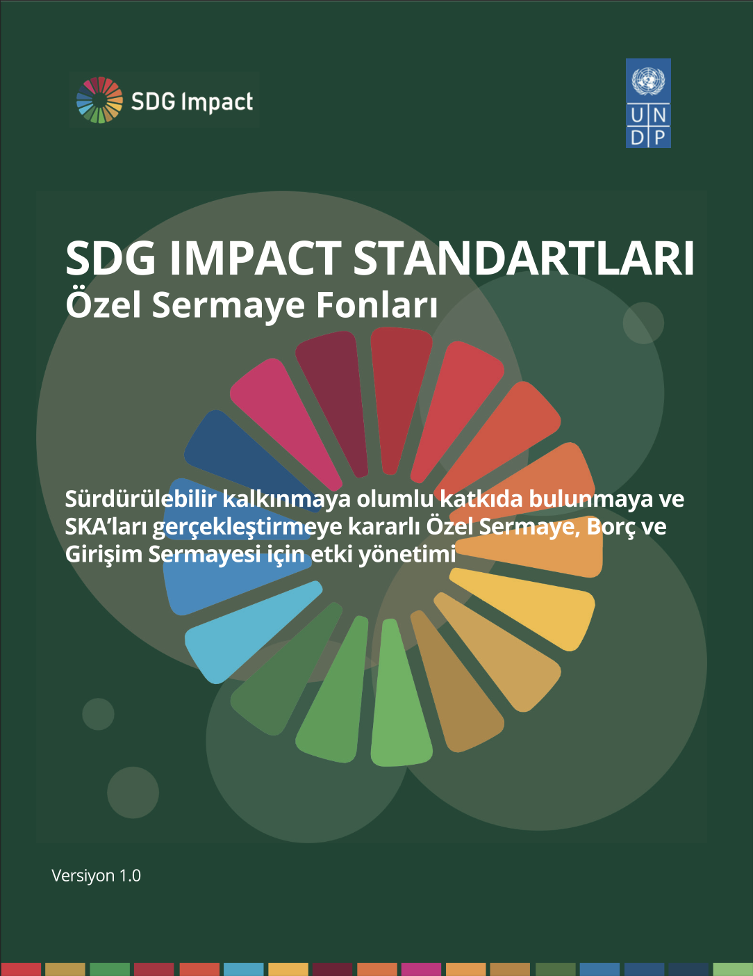 SDG Impact - Özel Sermaye Fonları