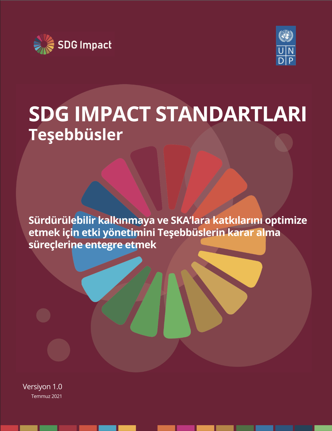 SDG Impact - Teşebbüsler