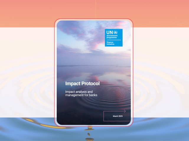 Impact Protocol 2025 yayımlandı!