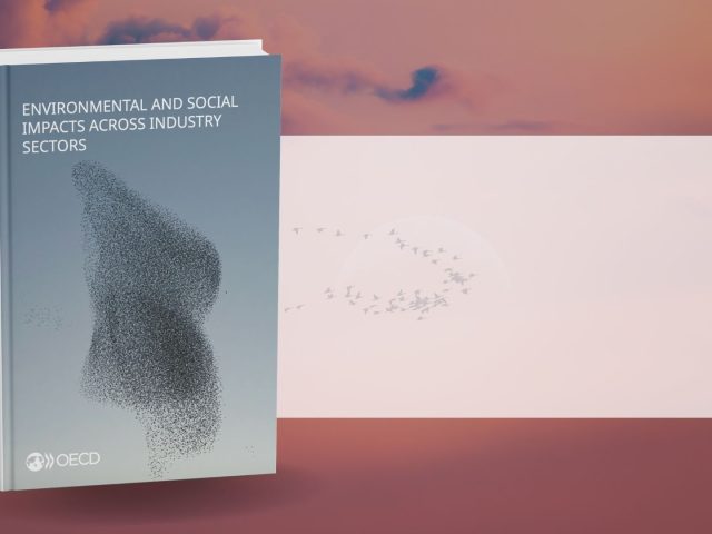 “Environmental and Social Impacts Across Industry Sectors” başlıklı yeni OECD raporu yayımlandı!